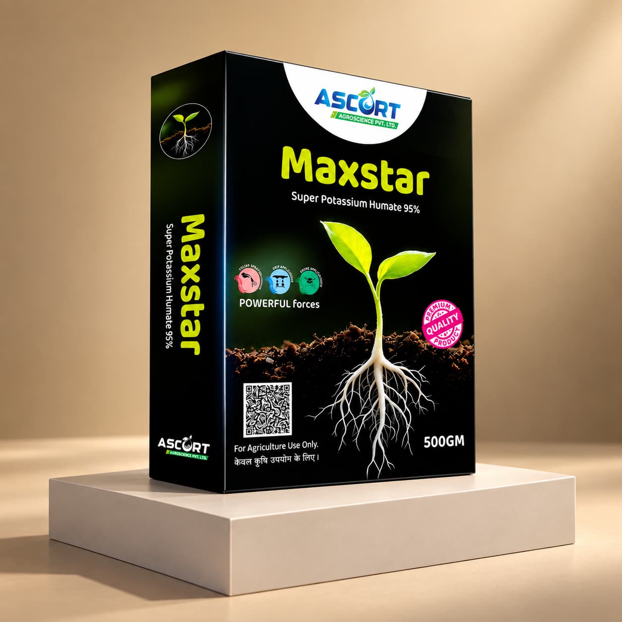 Box packaging design