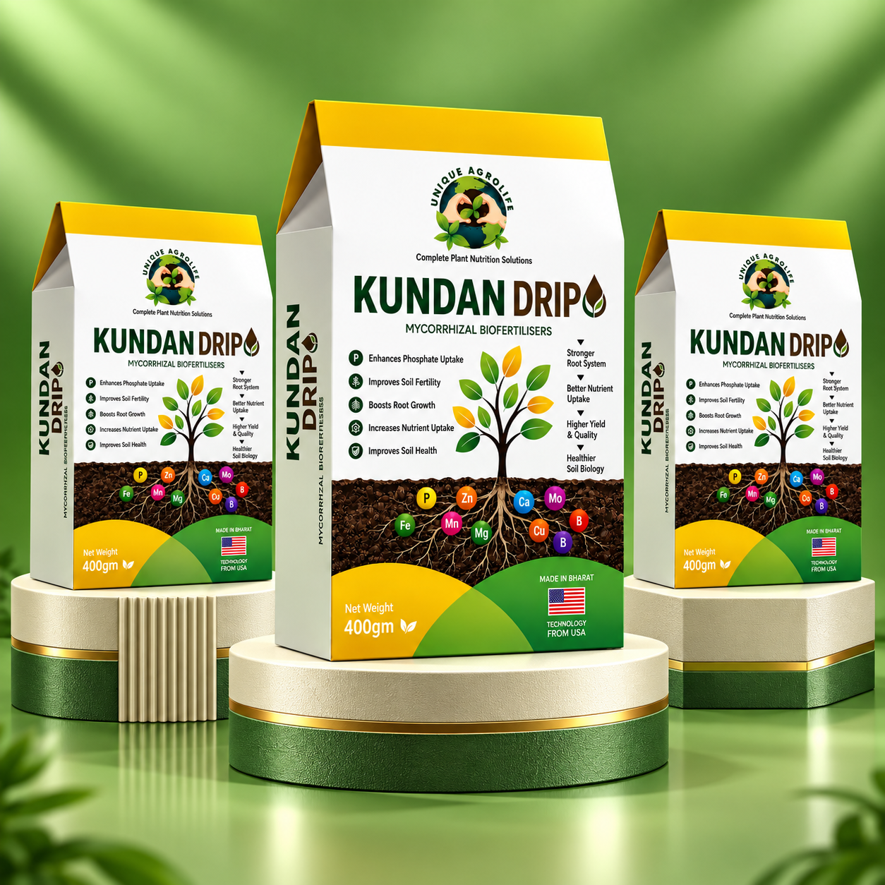 Box Packaging design