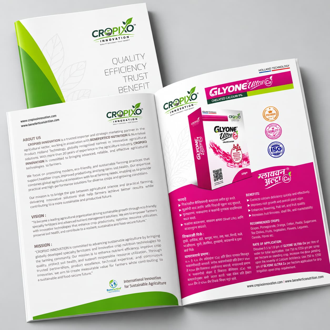 catalogue design